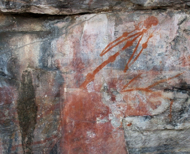 Kakadu NP, Nourlangie Rock, knokkelkoorts?