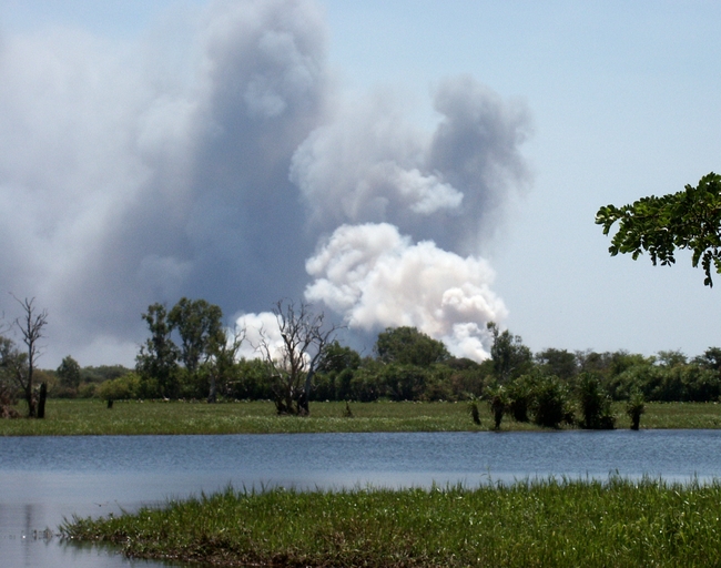 Kakadu NP, Yellow Water, bush fire