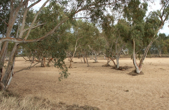 Tilmouth Roadhouse droge rivierbedding