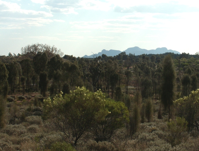 Kata Tjuta