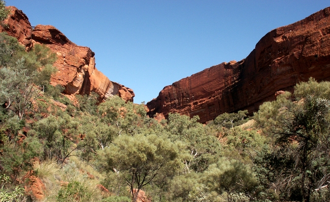 Watarrka