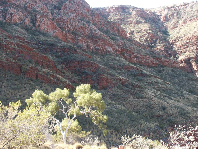 Ormiston Gorge