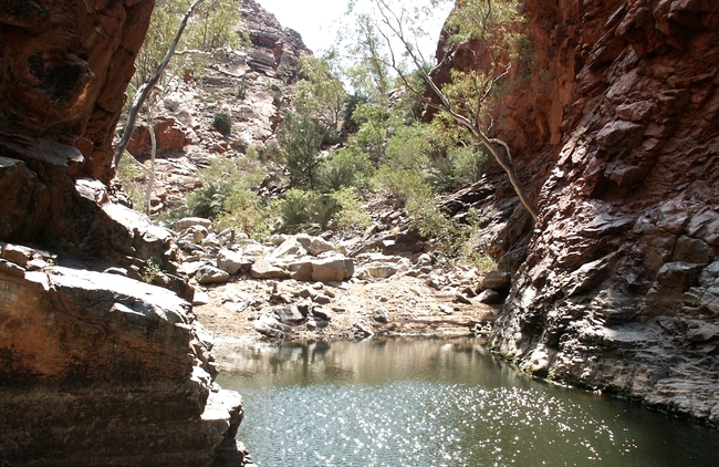 Serpentine Gorge