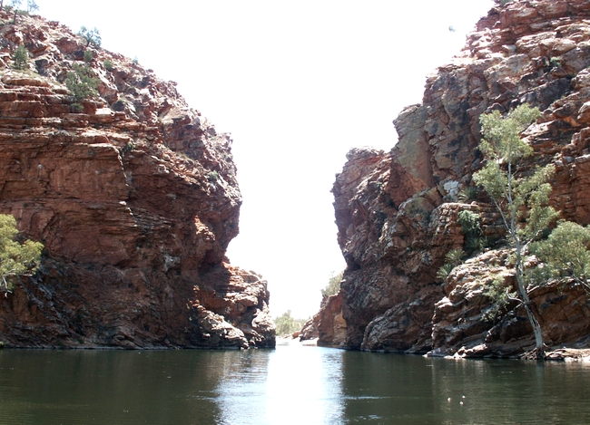 Ellery Creek Big Hole