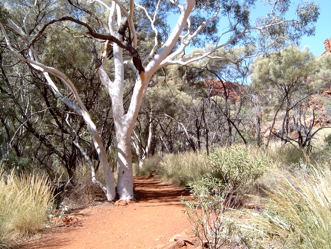 Kata Tjuta Valley of the Winds