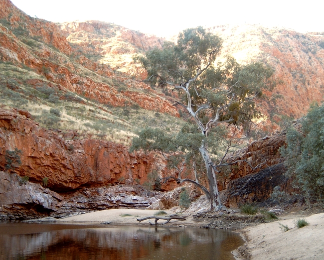 Ormiston Gorge