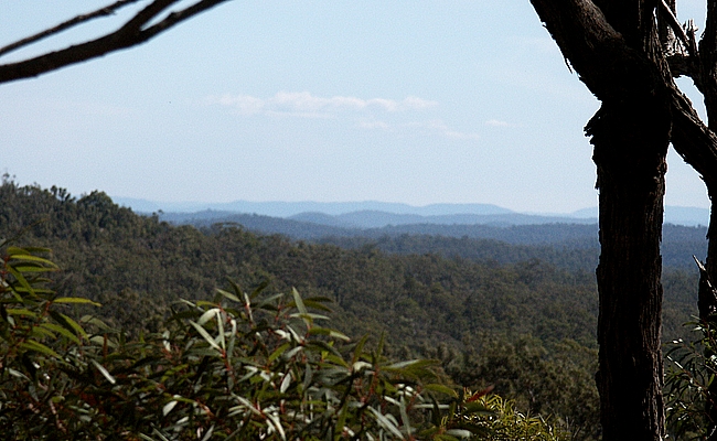 Yengo National Park