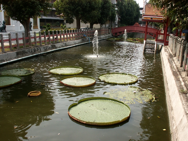 Bangkok