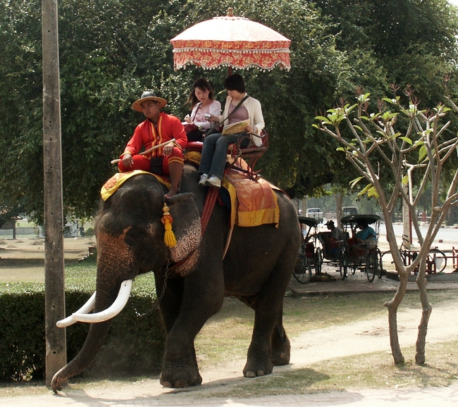 Ayutthaya