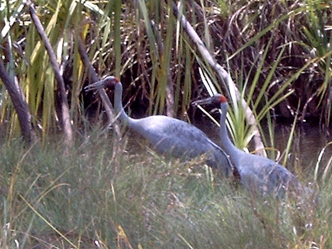 Gibb River Road