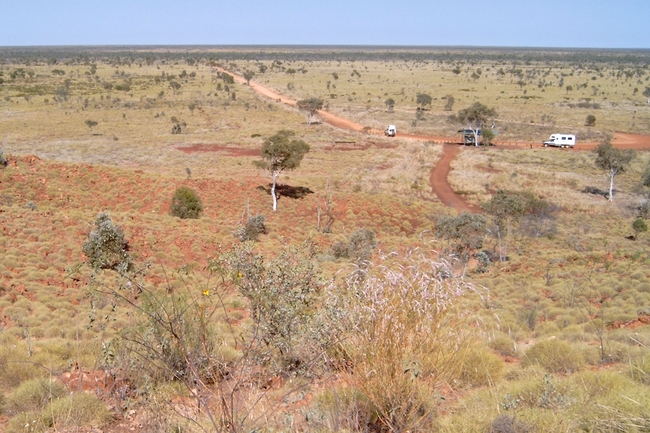 Tanami Desert