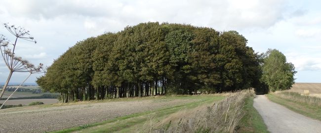 Ridgeway Path