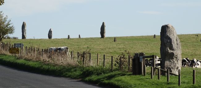 Avebury, West Kennet Avenue