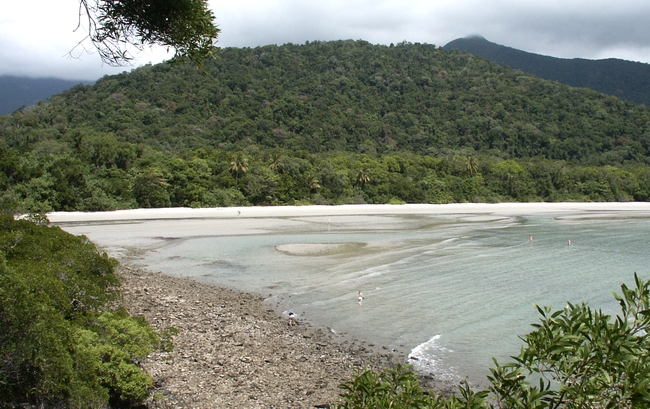 Cape Tribulation